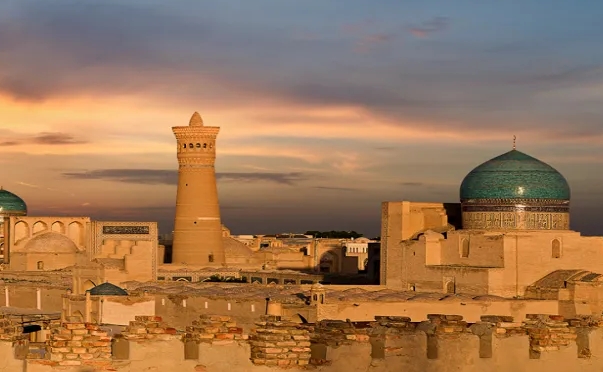 乌兹别克斯坦海关数据查询平台（附免费试用查询名额)