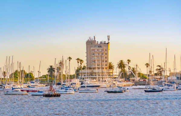 乌拉圭海关数据查询平台（附免费试用查询名额)